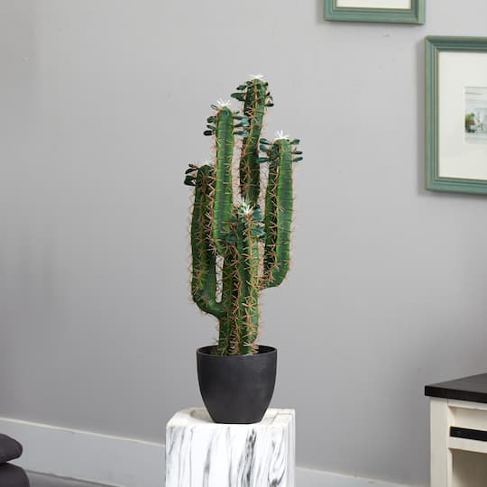 2.5’ Potted Cactus Plant